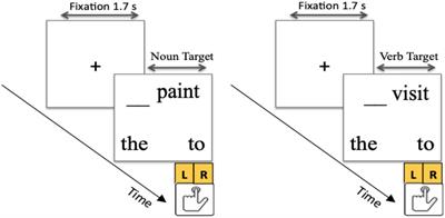 The role of category ambiguity in normal and impaired lexical processing: can you paint without the paint?